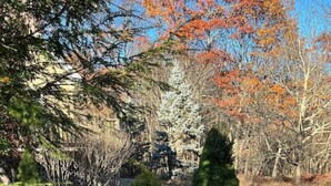 A serene pond surrounded by trees with autumn foliage, a stone bridge, and a wooden deck.