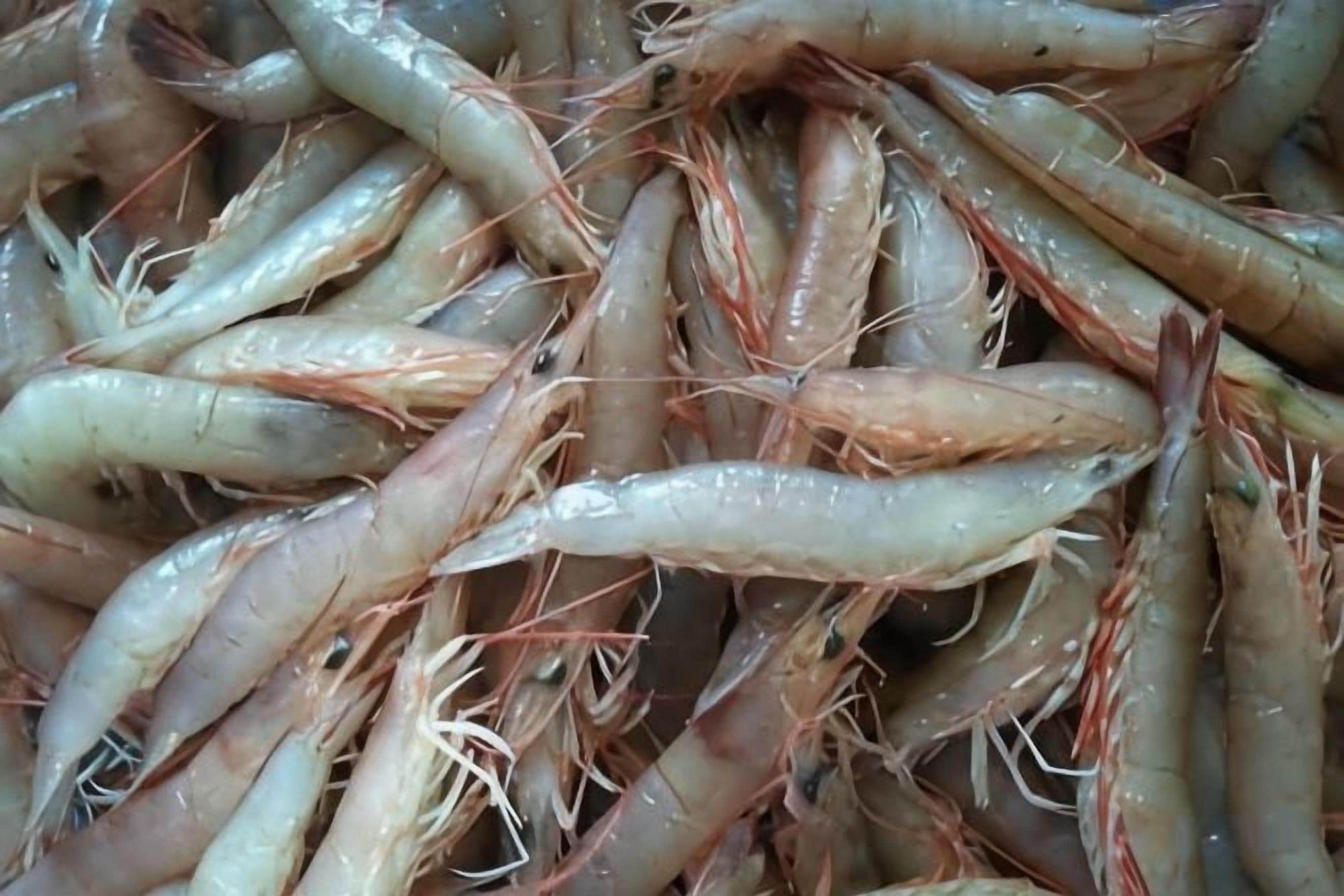 餐飲