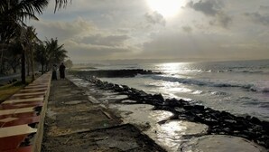 A coastal walkway with palm trees, a rocky shoreline, and the ocean.