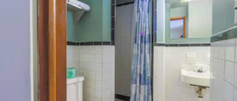 Un baño con inodoro, ducha y lavabo.