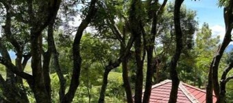 Villa with 1 Bedroom