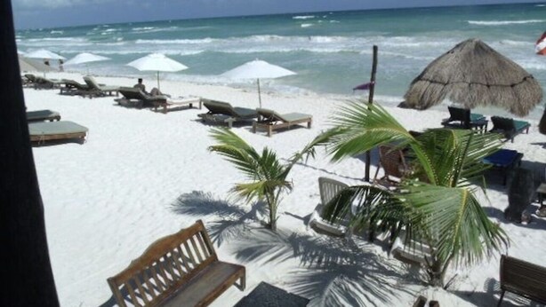 Ein Strand mit weißem Sand, Palmen und strohgedeckten Sonnenschirmen.