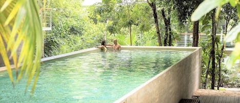 A rectangular pool with clear water, surrounded by lush greenery and a wooden deck.