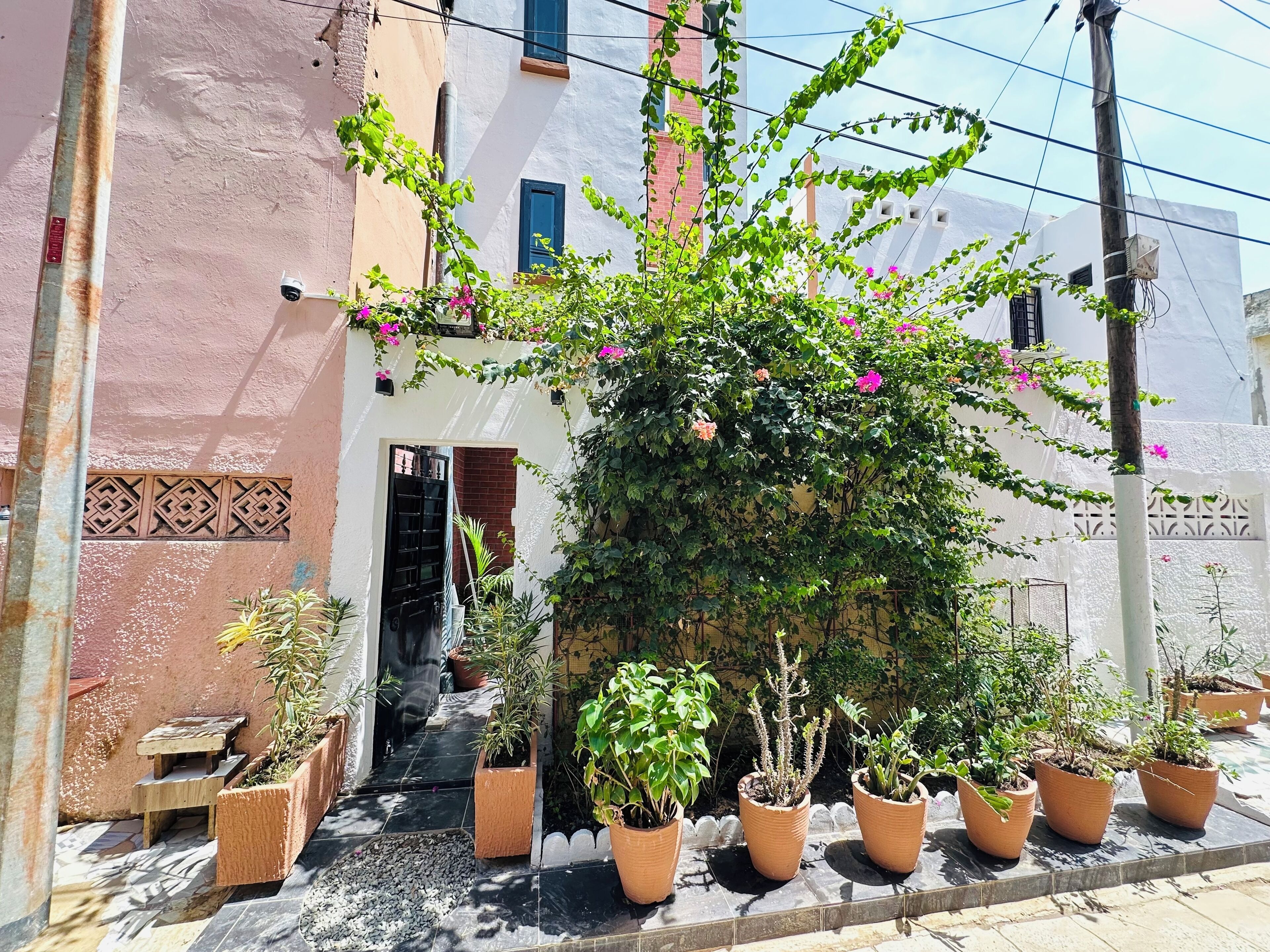 Overnattingsstedets uteområder