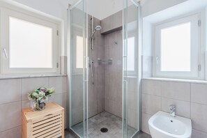 Shower, hair dryer, bidet, towels