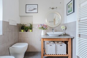 Shower, hair dryer, bidet, towels