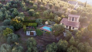 Exterior - Villa Debby, 2 bedrooms Farmhouse with Pool on the Hills of Lucca (Lucca)