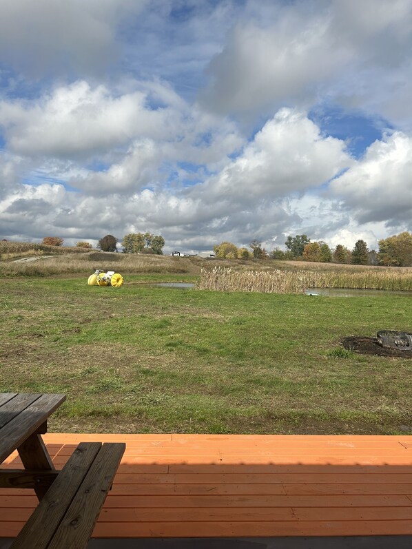 المنطقة المحيطة بالمنشأة