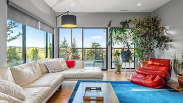 Télévision, cheminée, livres, médiathÚque