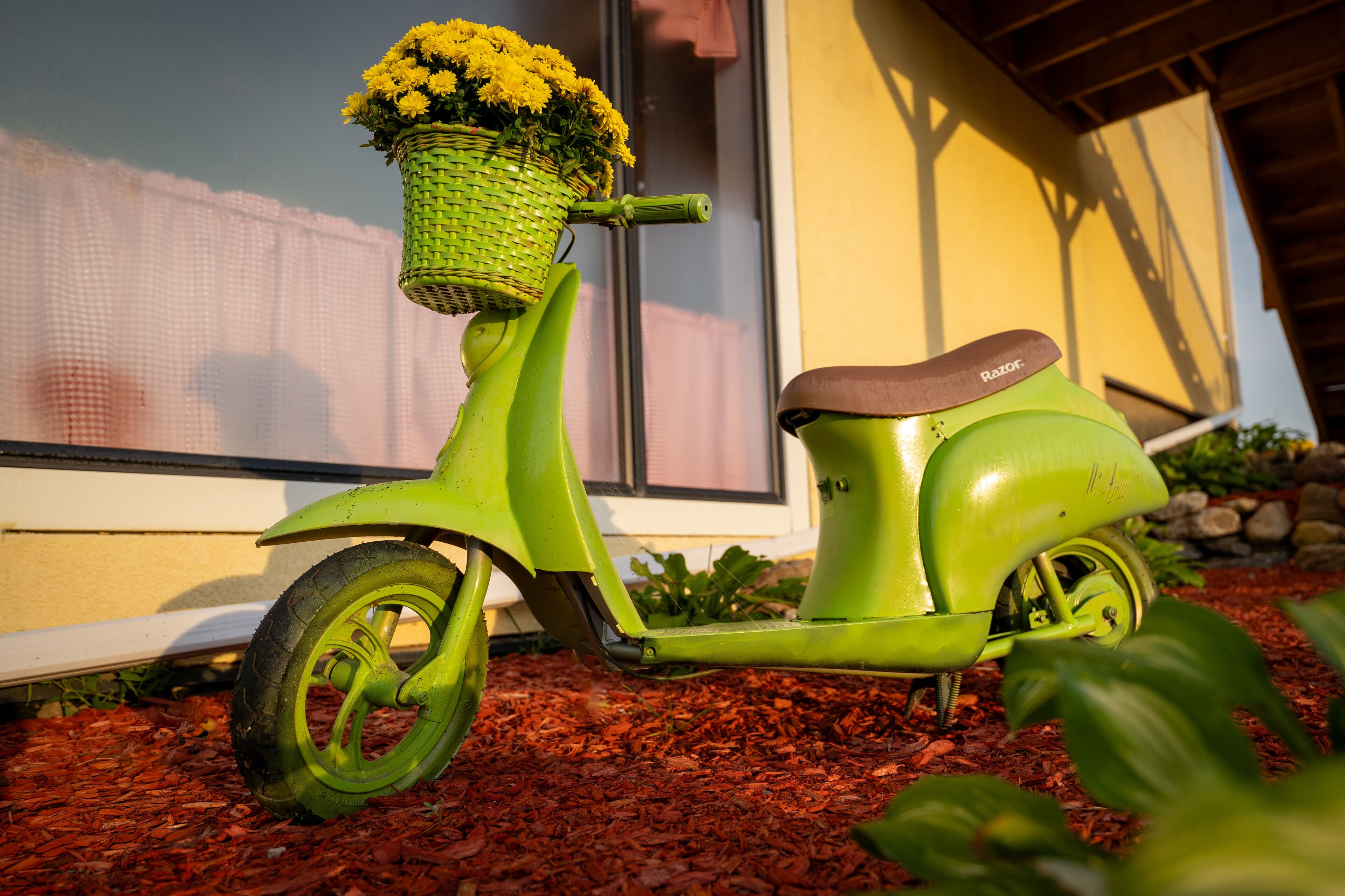 A green scooter with a basket of flowers parked on mulch in front of a building.