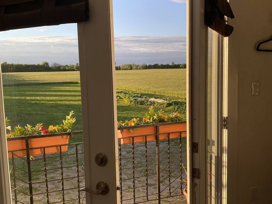 A view from an open door to a balcony with a metal railing, a potted plant with flowers, and a clear sky.