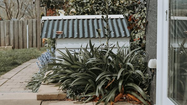 Una casa con un pequeño jardín con varias plantas y una estructura de techo de metal.