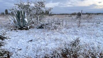A snow-covered field with sparse vegetation and a metal fence.
