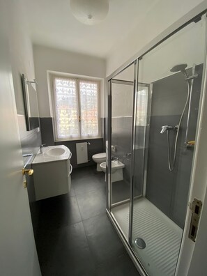 Shower, hair dryer, bidet, towels