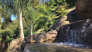 Ein Wasserfall stürzt über einer Felsformation herab, umgeben von üppiger Vegetation.