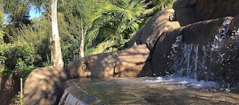 Spacious 6 Bedroom Vacation Home with Waterslide & Heated Saltwater Pool