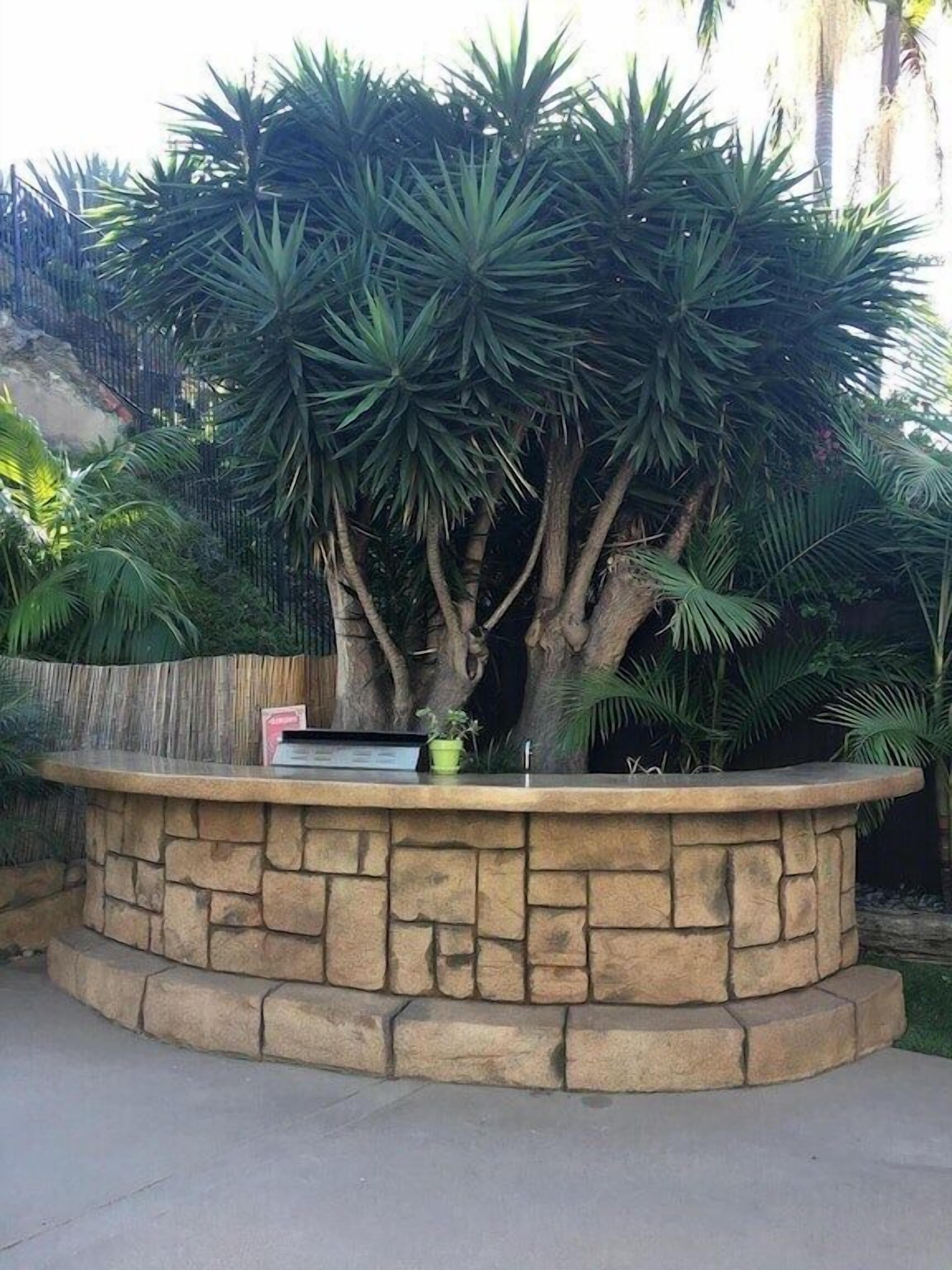 Una jardinera de piedra con una variedad de plantas tropicales, entre ellas palmeras y agave.