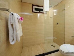 Towels, soap, shampoo, toilet paper