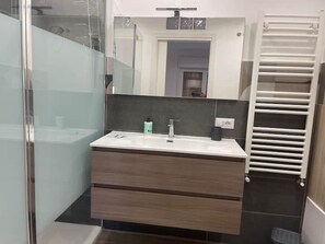 Shower, hair dryer, bidet, towels