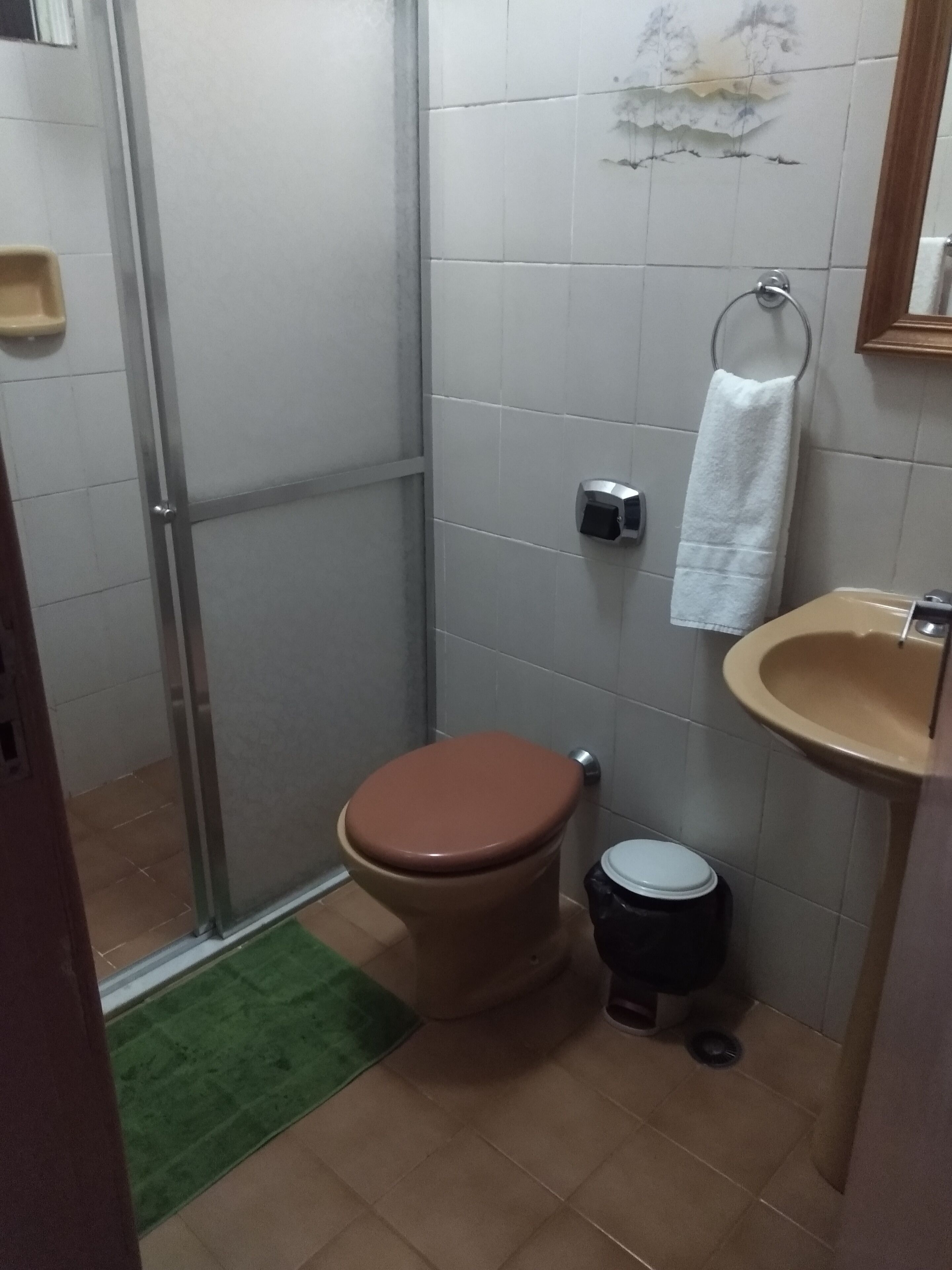 Un baño con inodoro, lavabo y ducha.