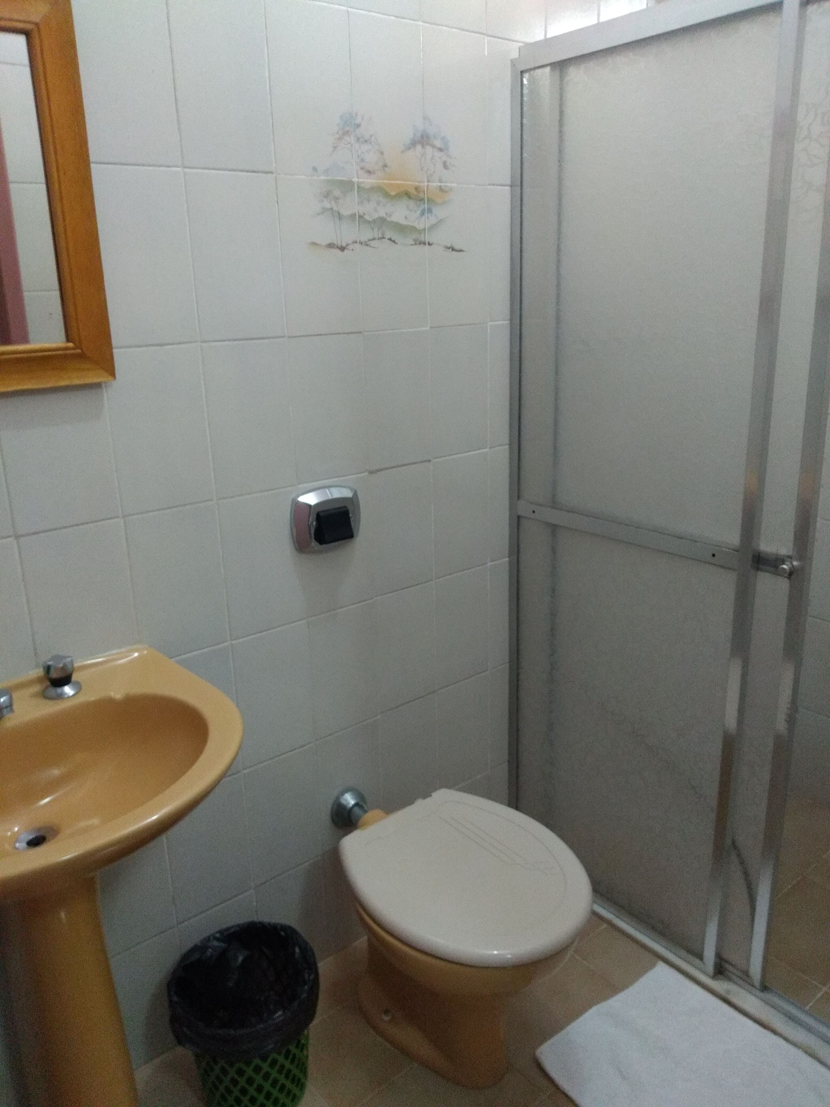 Une salle de bain avec un lavabo, des toilettes et une douche.