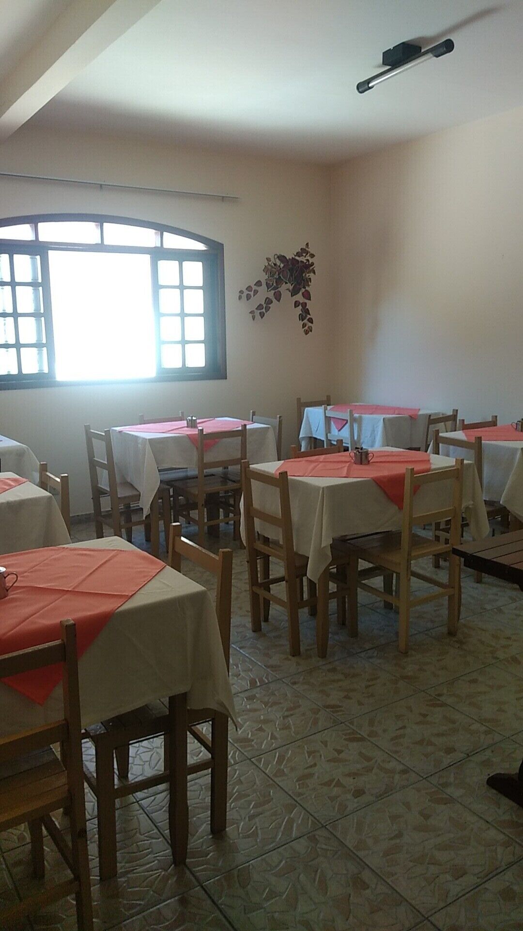 Un comedor con varias mesas y sillas, una ventana con vistas y una planta en la pared.