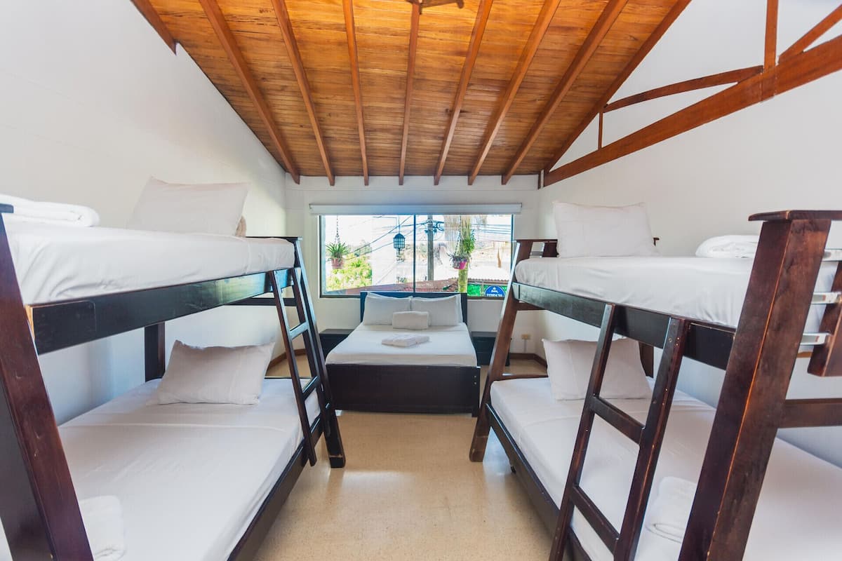 Premium bedding, down comforters, free WiFi, wheelchair access