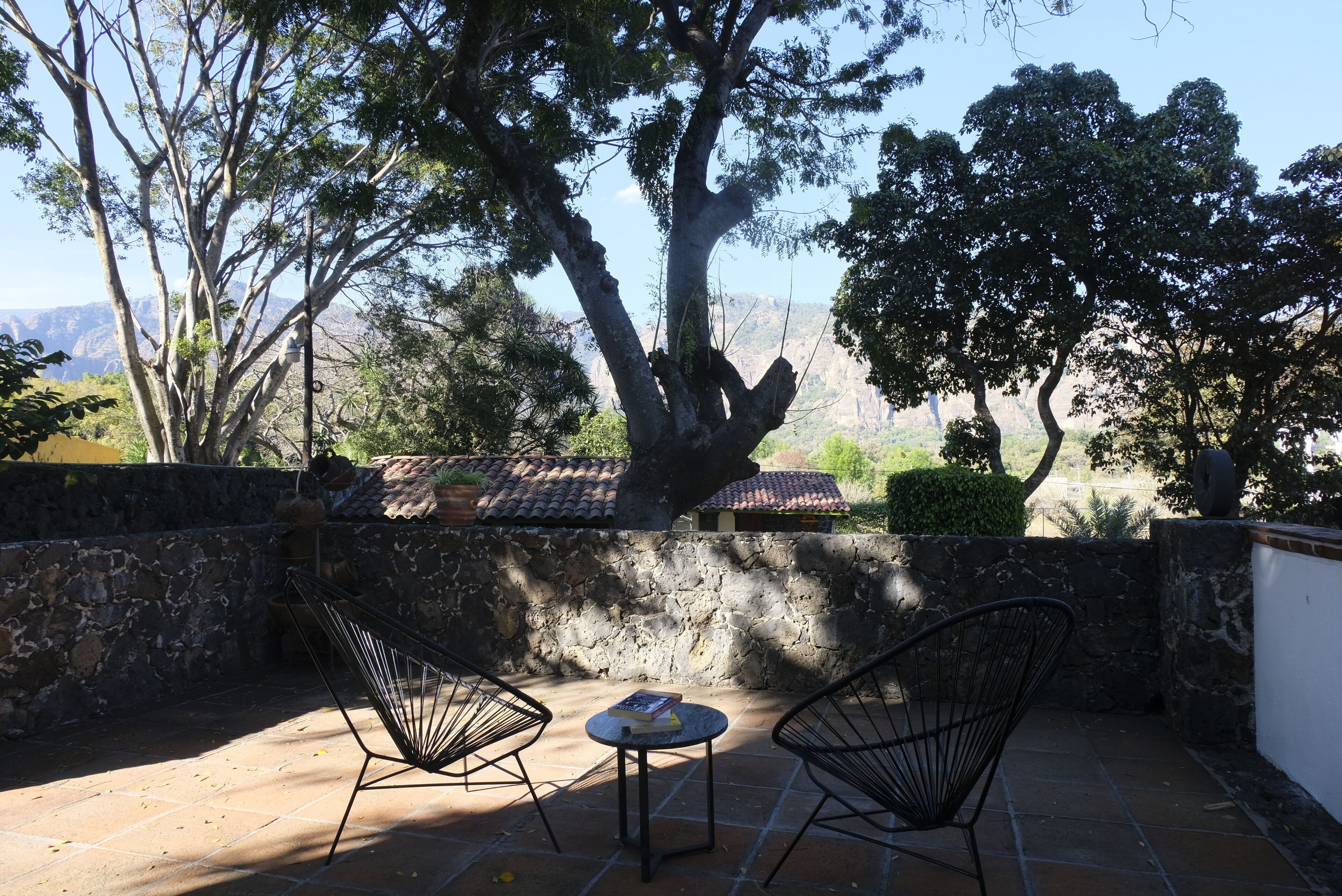 Premium-Doppelzimmer | Terrasse/Patio