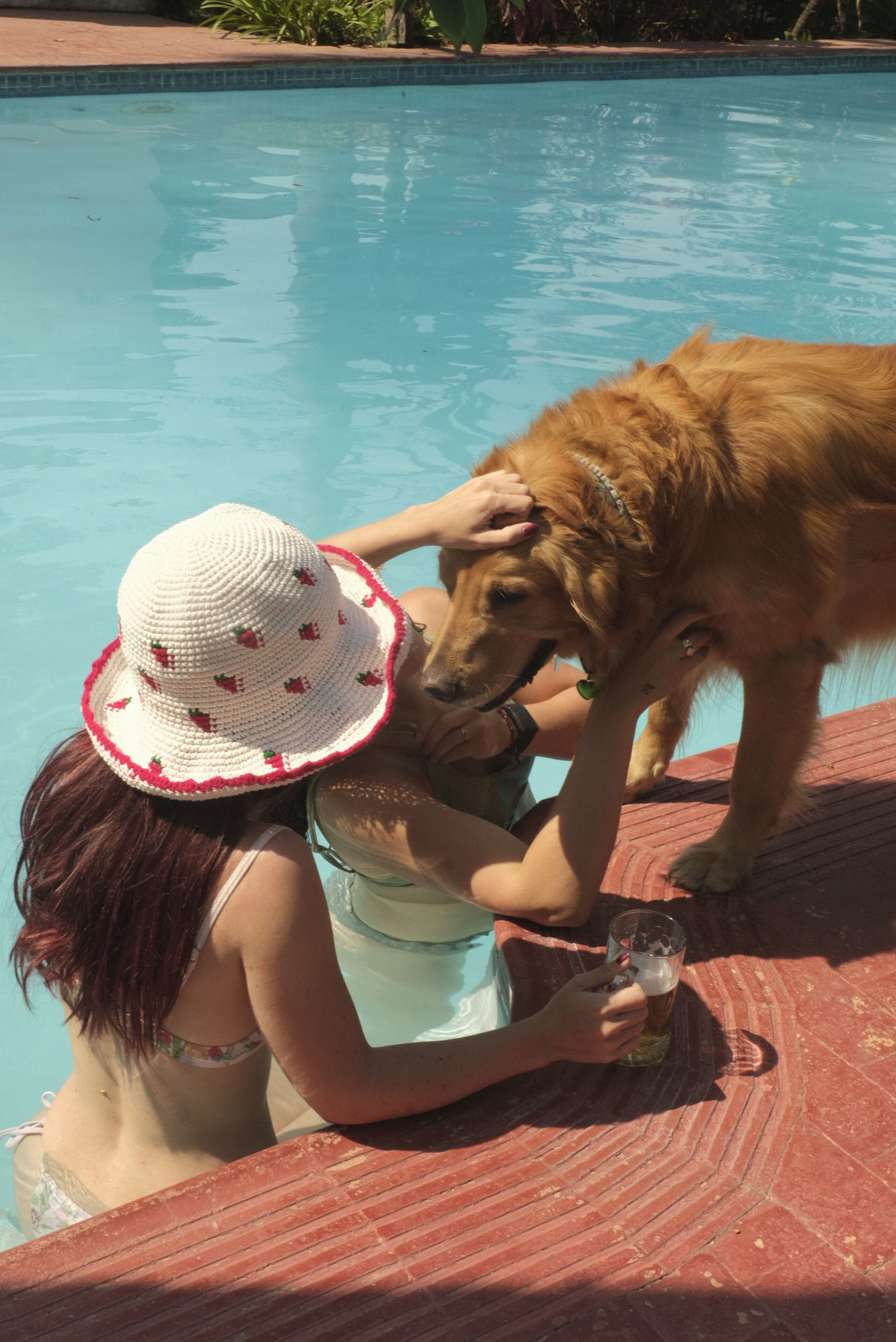 A person in a pool with a dog.
