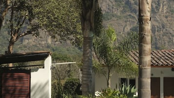 Kolam renang outdoor, dengan payung kolam renang dan kursi berjemur