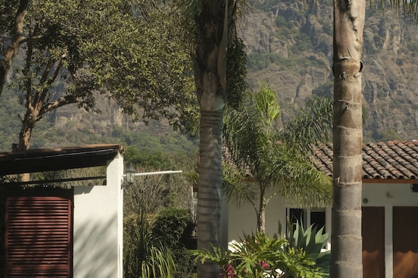 Una piscina al aire libre, sombrillas, sillones reclinables de piscina
