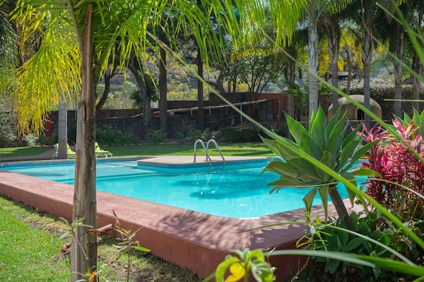 Outdoor pool, pool umbrellas, pool loungers