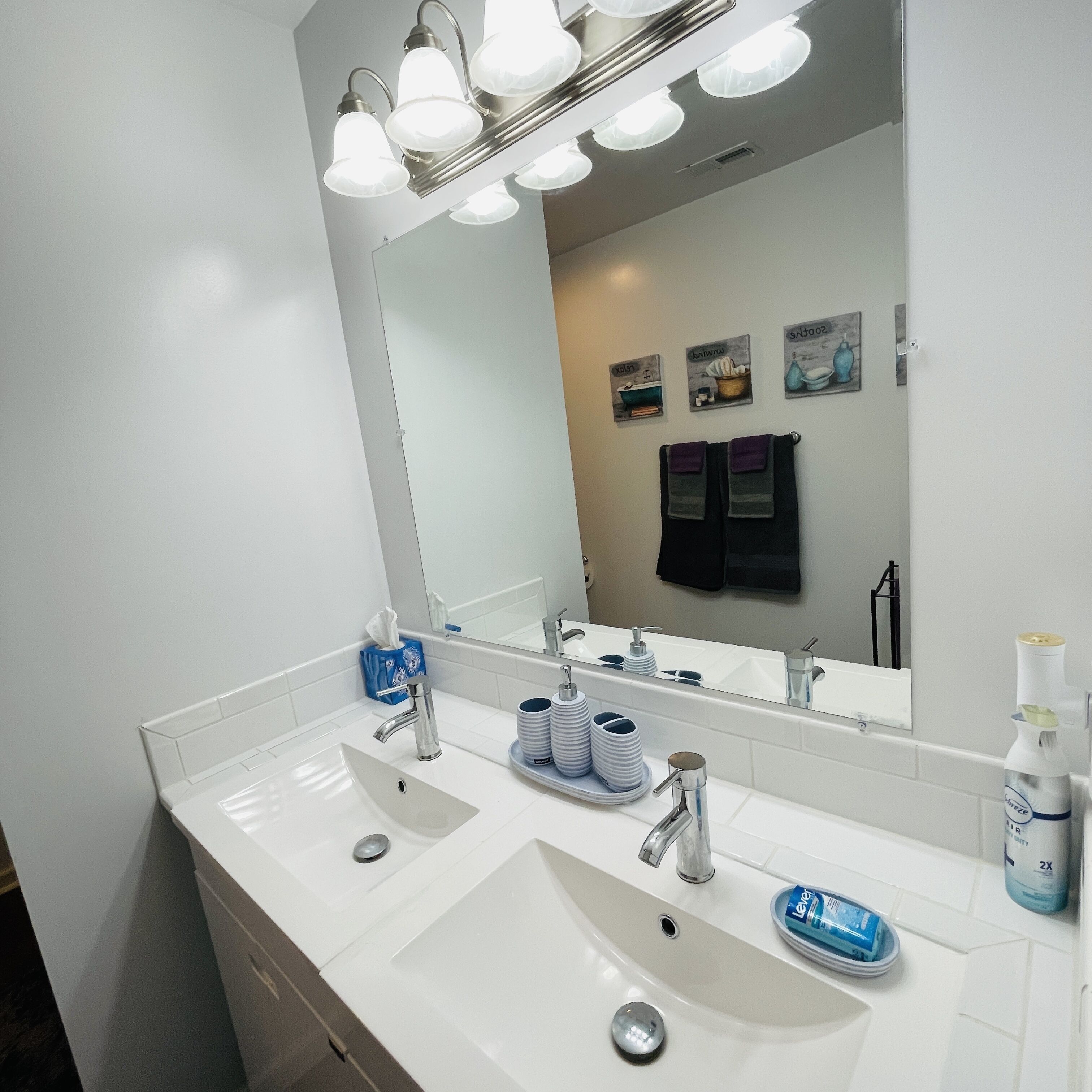 Hair dryer, towels, soap, toilet paper