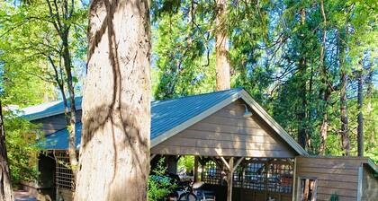 Family/Pet Friendly with Grill, Games, and More!