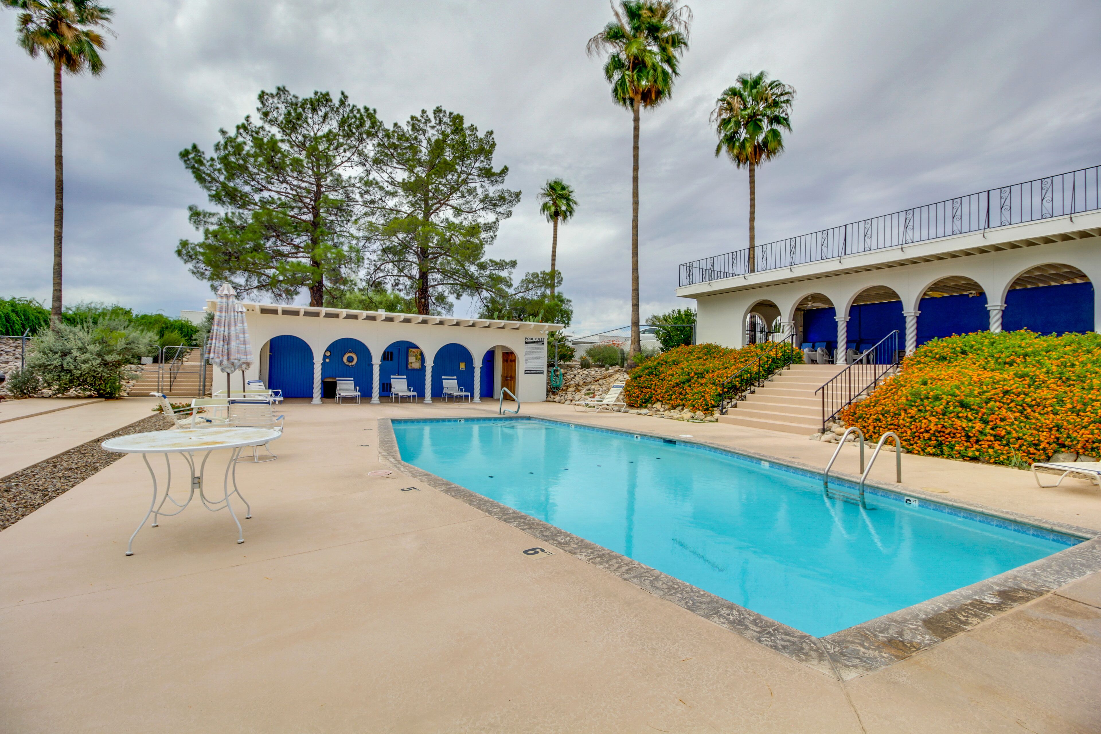 Una piscina con borde de azulejos azules, un área de descanso techada con puertas azules y un paseo bordeado de palmeras.