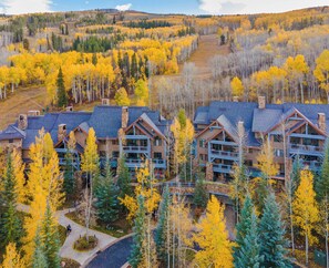 Eine Lodge mit mehreren Gebäuden, umgeben von einem Wald mit herbstlich gefärbten Bäumen.