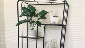 Une étagère en métal noir contenant divers objets, notamment une plante en pot, une figurine, des bouteilles en verre, un pichet et un jeu de société.
