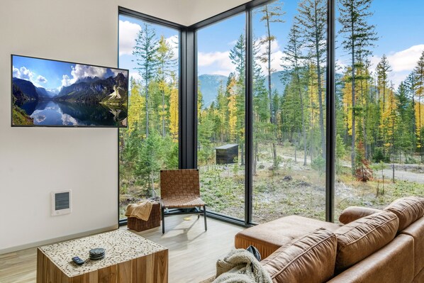 Smart TV, fireplace