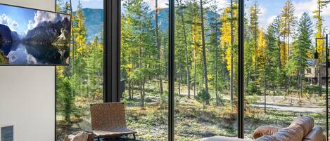 TV connectée, cheminée