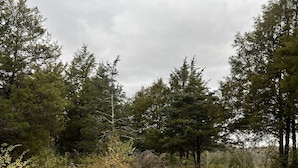 Un foyer circulaire, entouré de souches d’arbres, est accessible par un chemin de gravier.