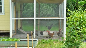 A chicken coop with a mesh door, surrounded by a garden with raised beds and a small tree. - 1930s Cape Cod Bungalow at Firmstone Manor (Clifton Forge)