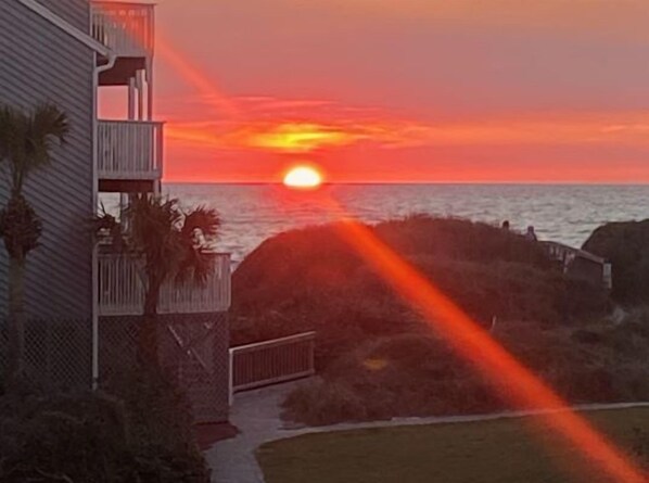 Property grounds - Take a Paws — Dog Heaven · Pet-Friendly Gulf Beach · Pools & Pickleball (Port St. Joe)