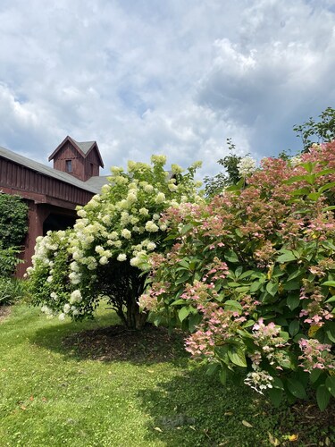 Schuylerville, Saratoga Enclave Studio Apartment