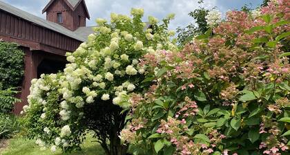 Schuylerville, Saratoga Enclave Studio Apartment