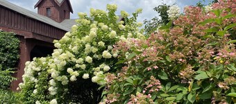 Schuylerville, Saratoga Enclave Studio Apartment