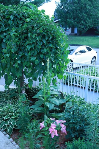 Private Villa Home in Gatineau Near Downtown Ottawa