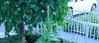 Private Villa Home in Gatineau Near Downtown Ottawa