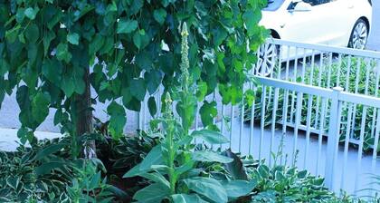 Private Villa Home in Gatineau Near Downtown Ottawa