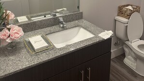 A modern bathroom with a granite countertop sink, a large mirror, a toilet, and a framed artwork on the wall. - Walk to the square and the grove! This 2BR 2BA is the perfect location.  (Oxford)