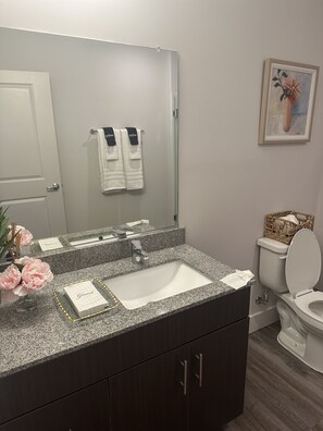 Hair dryer, towels, soap, toilet paper - Walk to the square and the grove! This 2BR 2BA is the perfect location.  (Oxford)